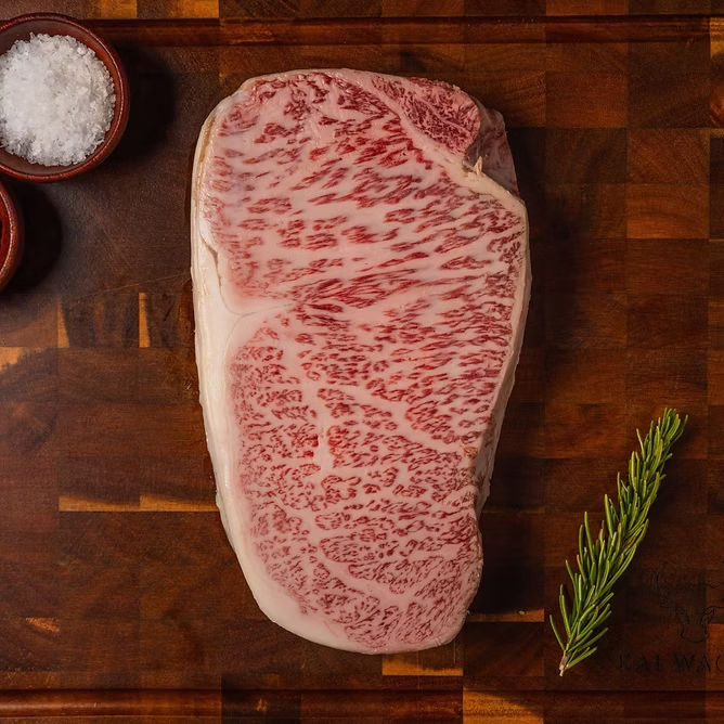 Japanese A5 Strip 16 oz